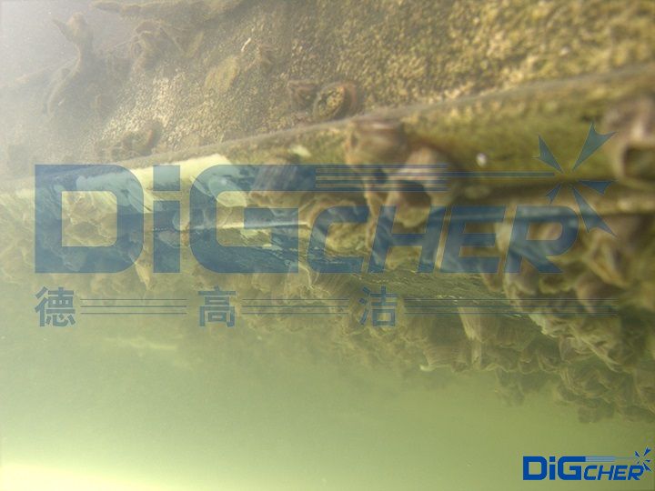 海生物(wù)附著