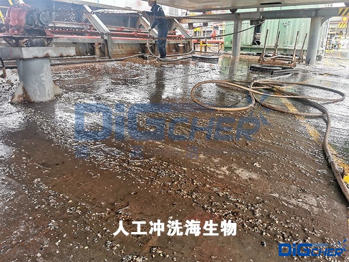 人工衝洗(xǐ)海生物