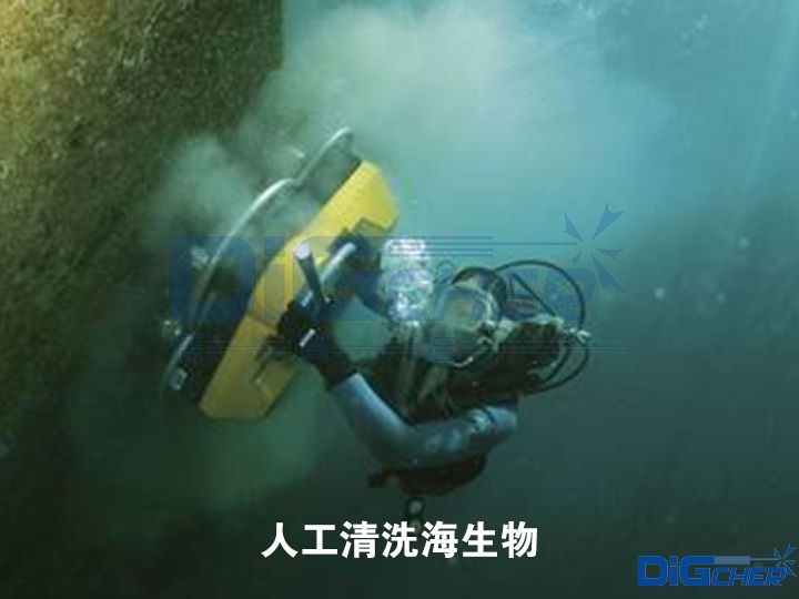 人工（gōng）清洗海生物