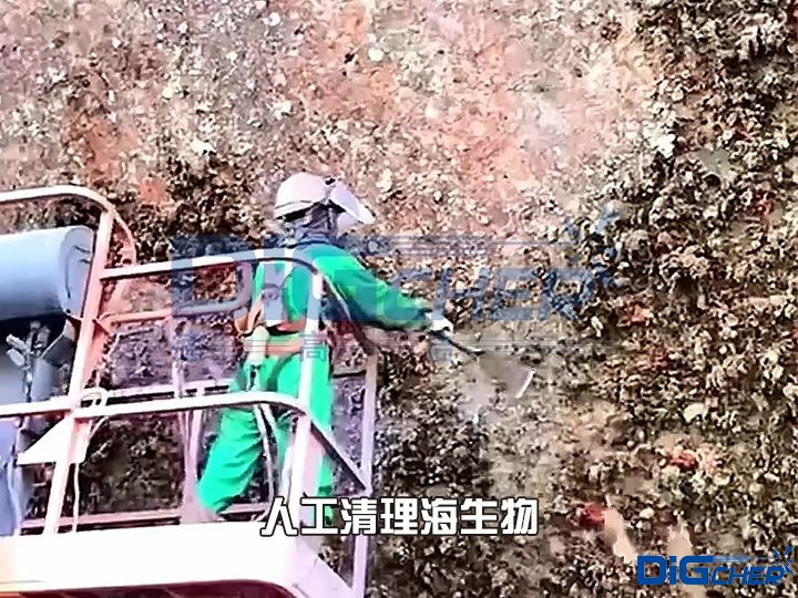 人工清理（lǐ）海生物
